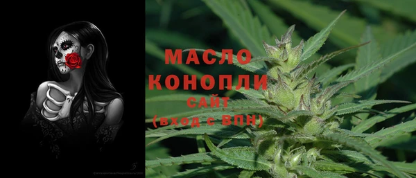 прущие грибы Бородино