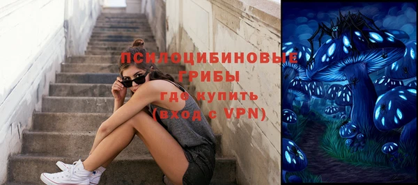 ешки Богородицк