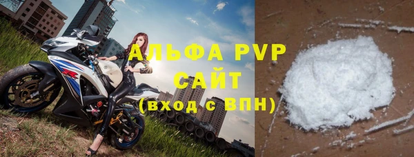 прущие грибы Бородино