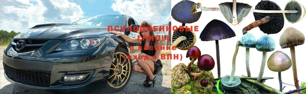 ешки Богородицк
